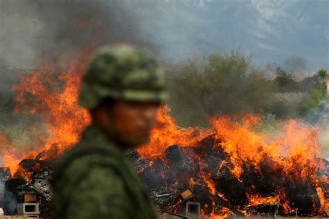 A Guerra Contra as Drogas na Cidade do México: Uma Jornada Caótica de Poder e Violência no Século XXI